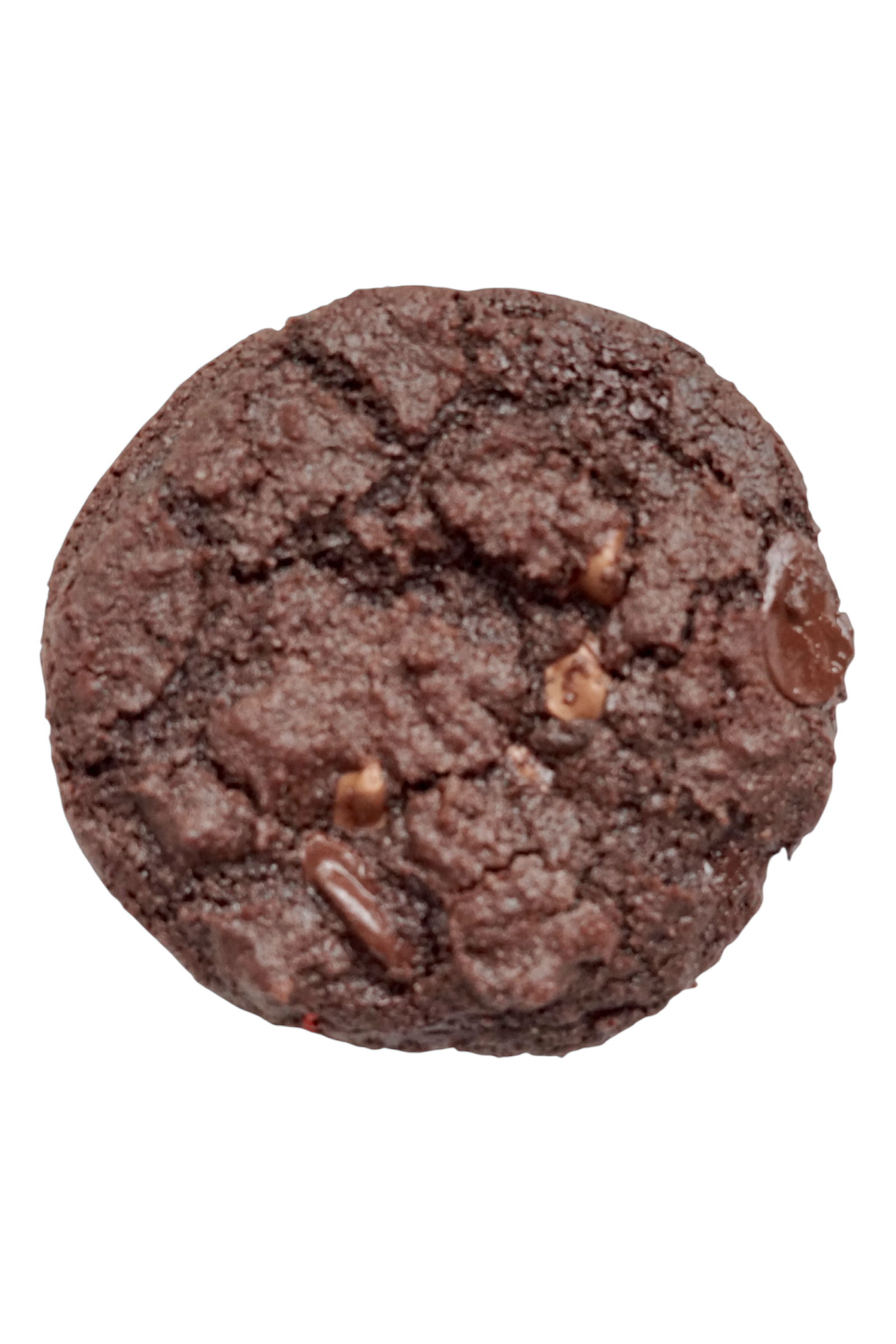 Triple Gooey Chocolate Bliss